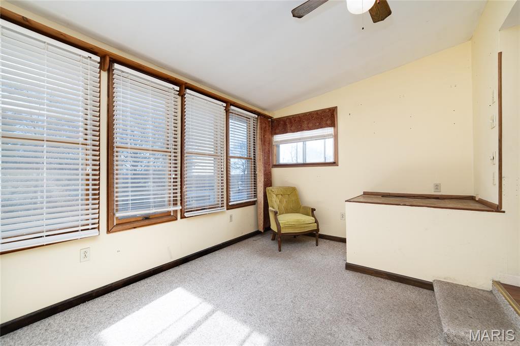 1324 Graham Street St. Louis, MO 63139 - Photo 17 of 29