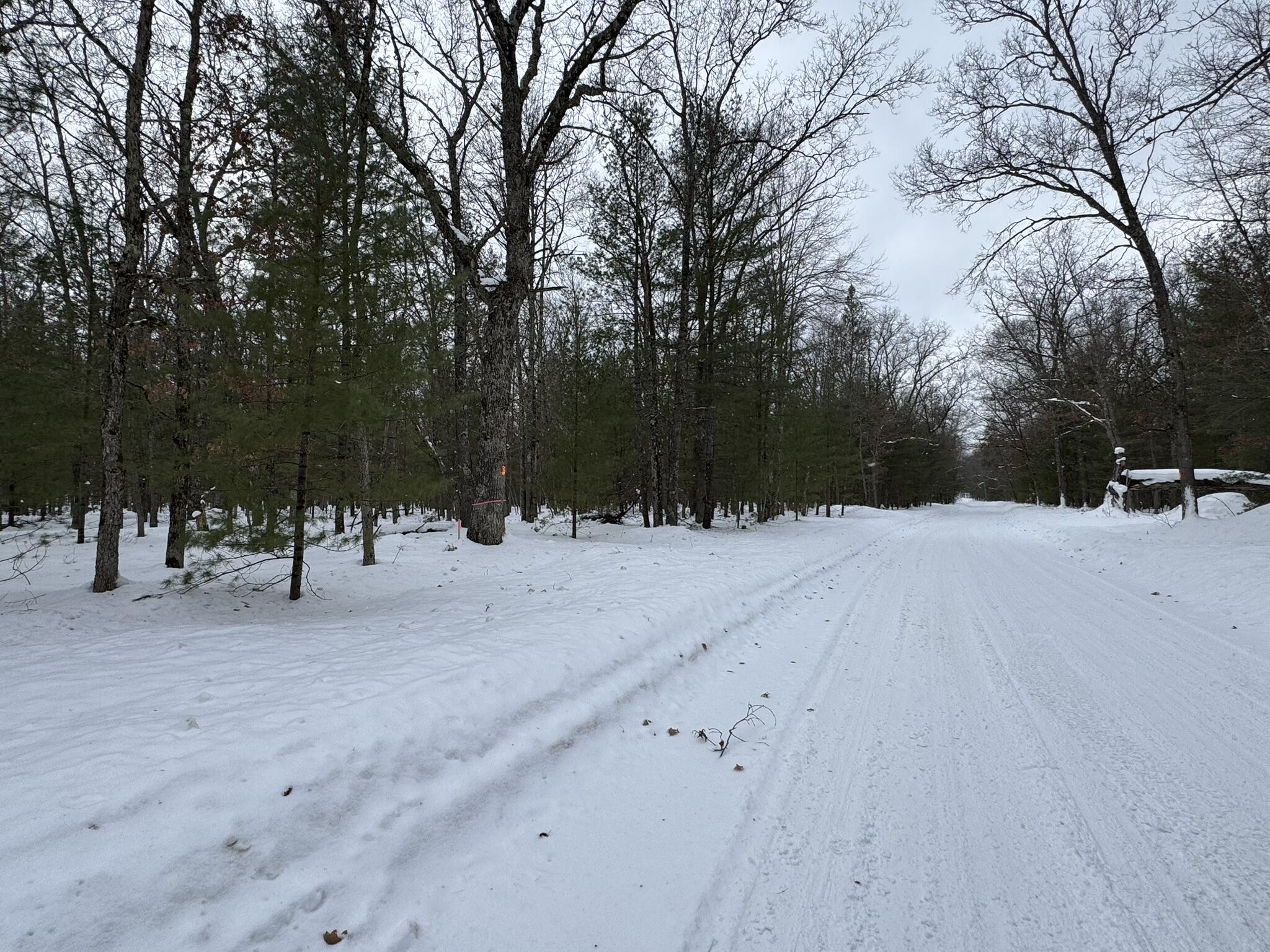 East Riverside Drive Manistee, MI 49660 - Photo 3 of 3 Nienhouse - B2