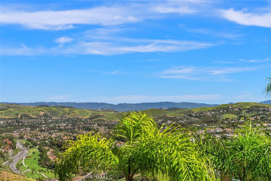 22 Cresta Del Sol San Clemente, CA 92673 - Photo 21 of 70 You must visit the property to appreciate the location of the house and all the usable lot space. VIEW, VIEW, VIEW!