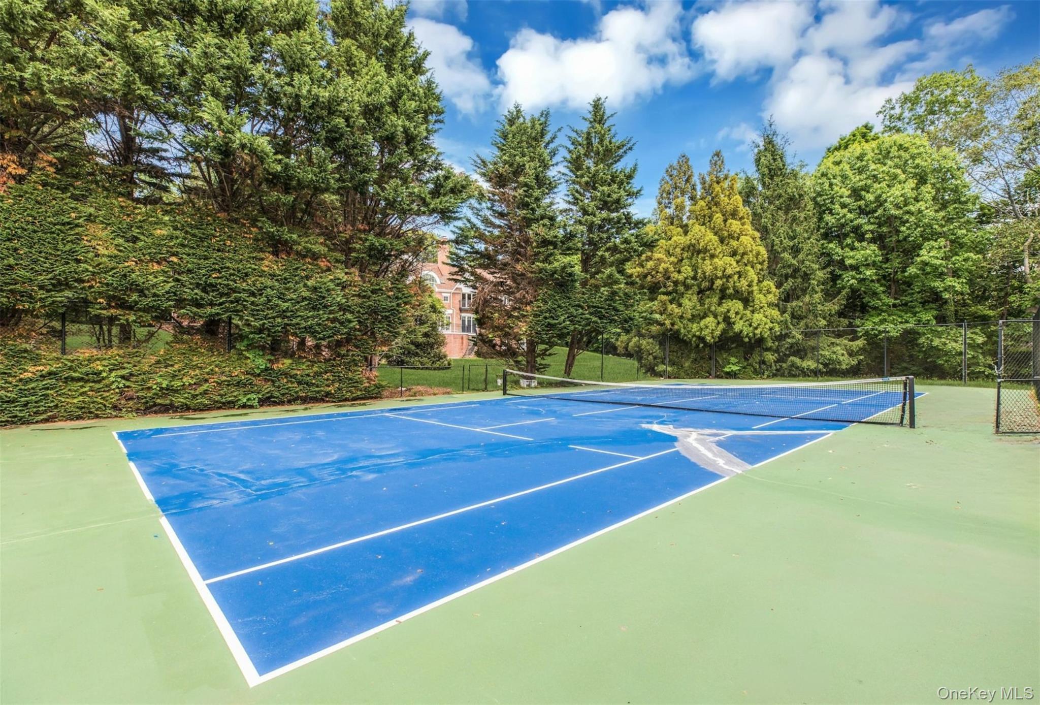 12 Saddle Ridge Road Old Westbury, NY 11568 - Photo 41 of 50