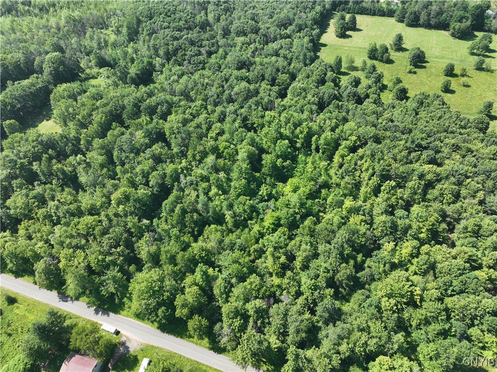 Preston Hill Road Camden, NY 13316 - Photo 3 of 6