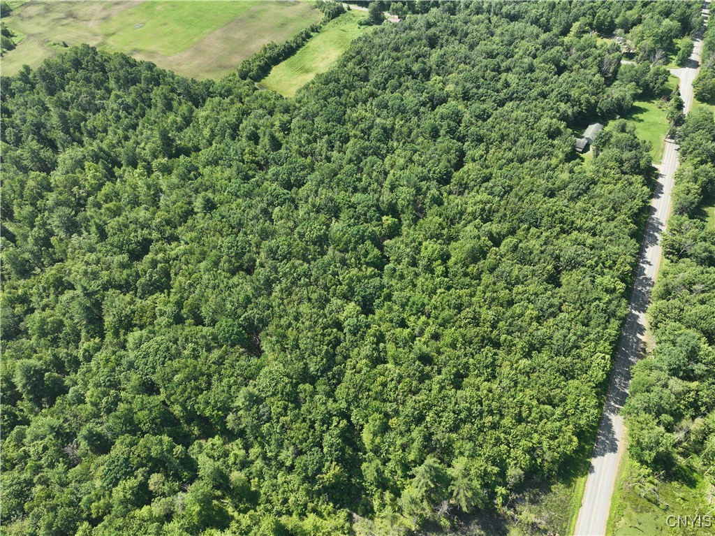 Preston Hill Road Camden, NY 13316 - Photo 4 of 6