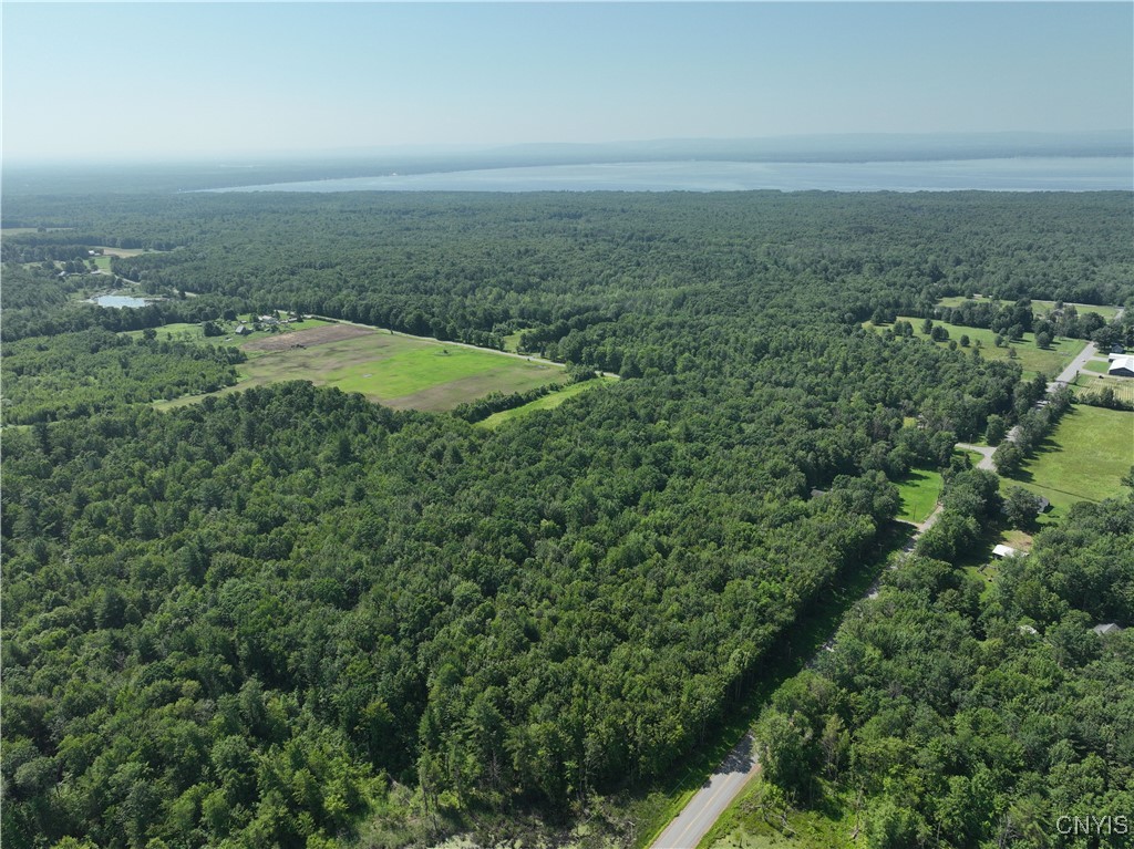 Preston Hill Road Camden, NY 13316 - Photo 5 of 6