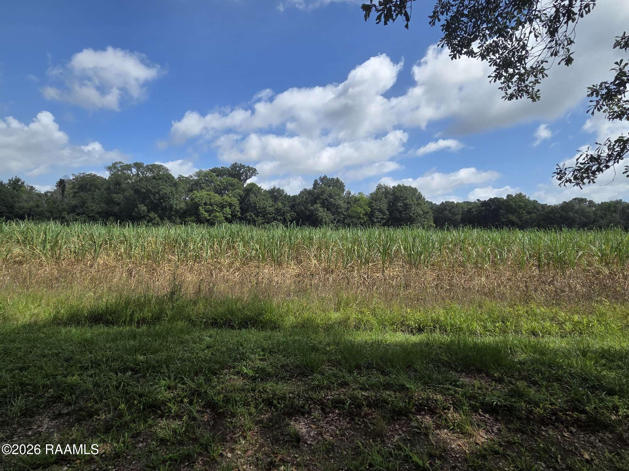 410 Roy Guidry Road Youngsville, LA 70592 - Photo 2 of 4 Compress_20260619_114443_3221