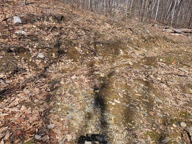 476 Day Mountain Road Temple, ME 04984 - Photo 12 of 15 image000000_7