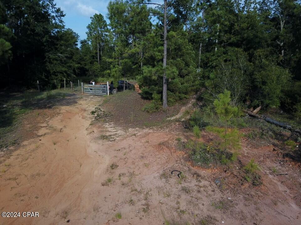 Tbd Chason Road Marianna, FL 32448 - Photo 14 of 16 Gallery Image 14