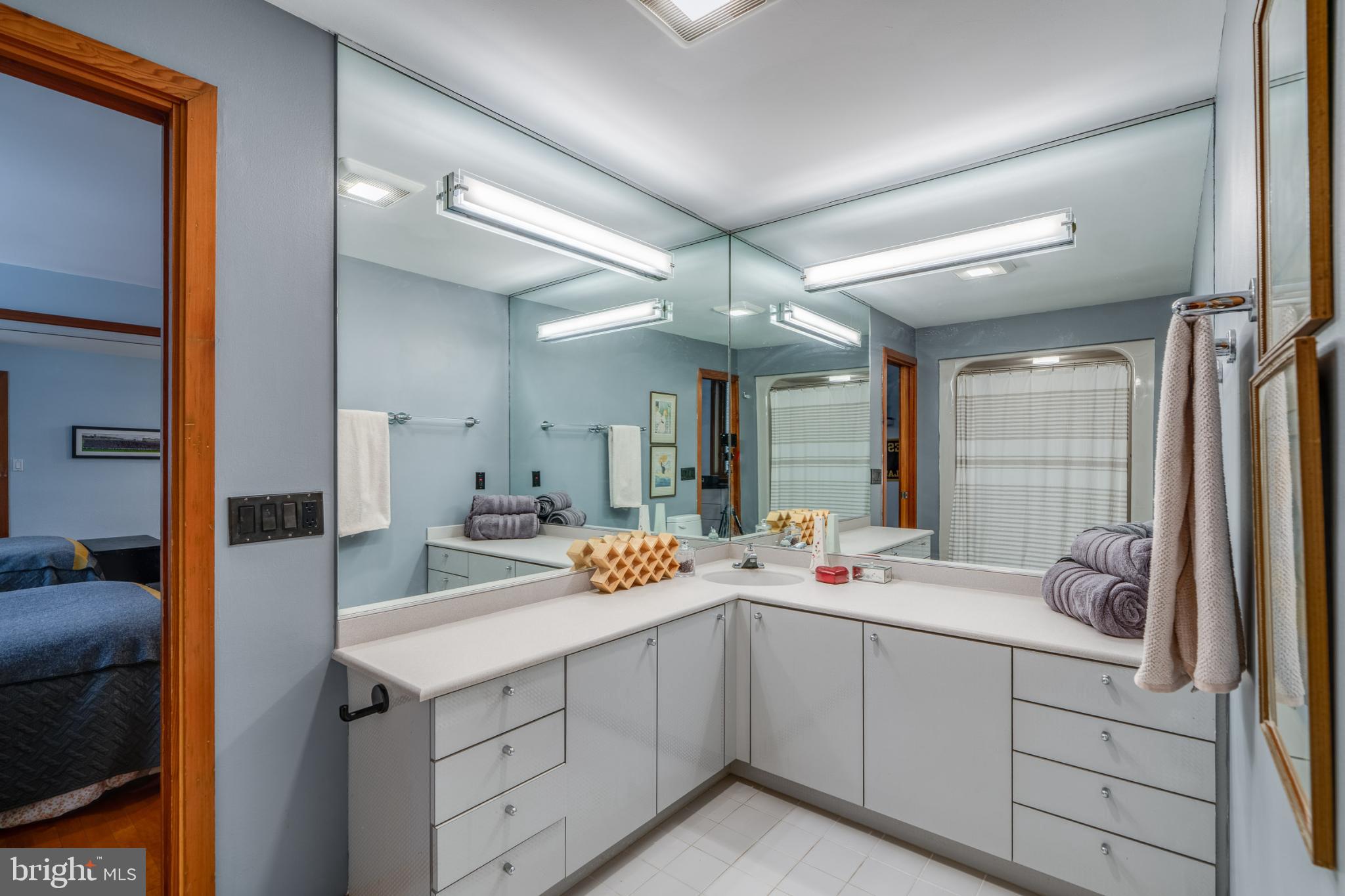 725 Laurel Ridge Road Reinholds, PA 17569 - Photo 37 of 101 Jack & Jill bathroom