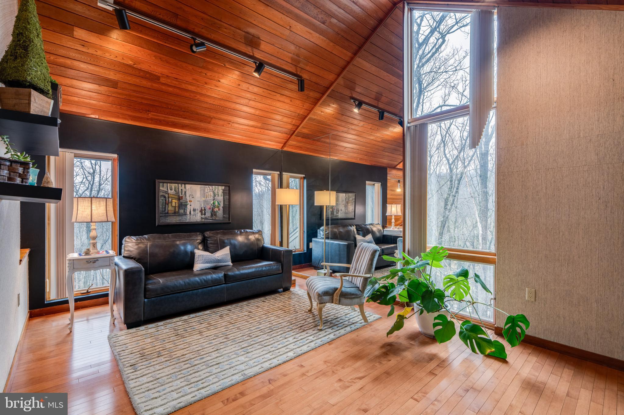 725 Laurel Ridge Road Reinholds, PA 17569 - Photo 54 of 101 a living room with furniture and a potted plant