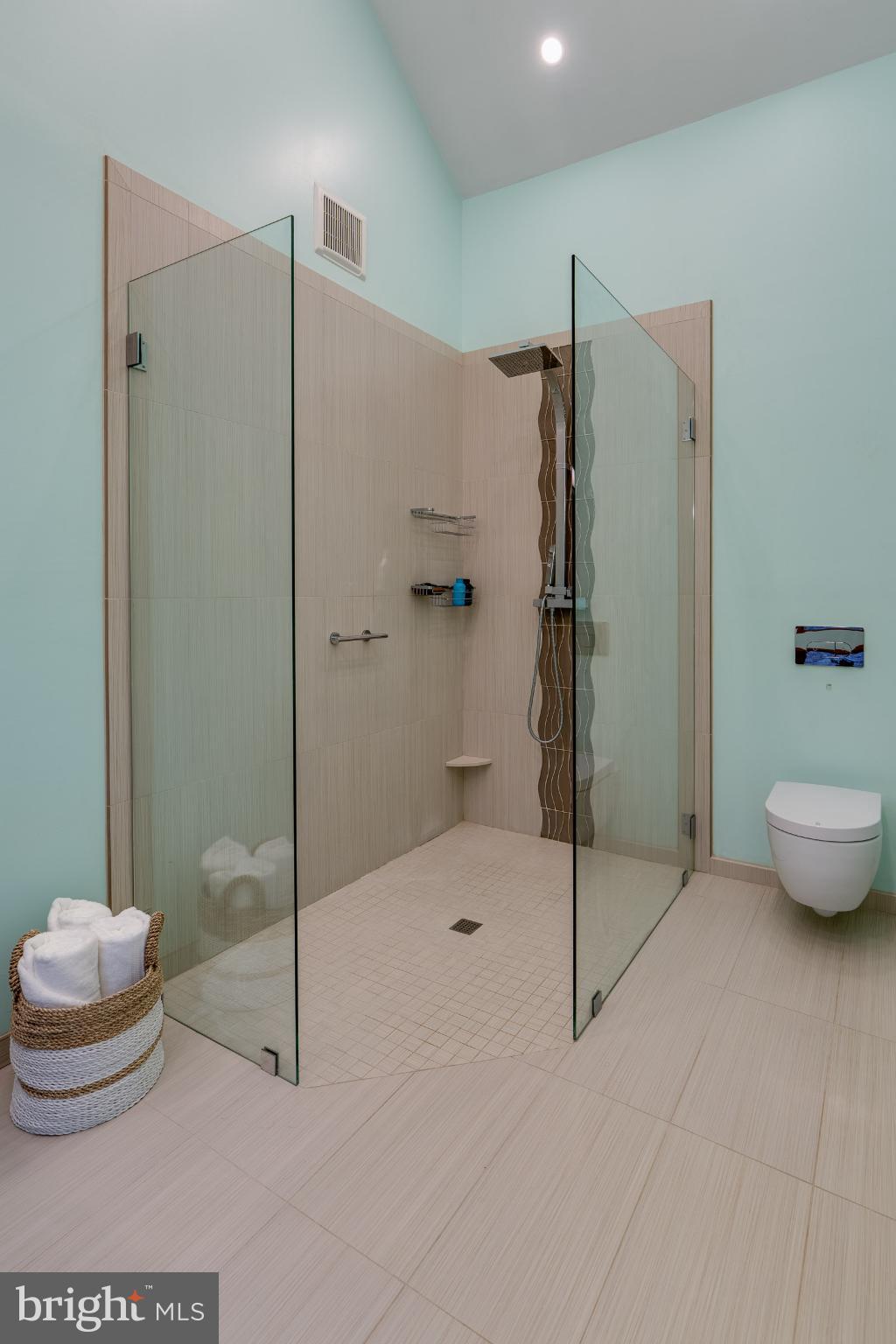 725 Laurel Ridge Road Reinholds, PA 17569 - Photo 60 of 101 a bathroom with a shower and a toilet