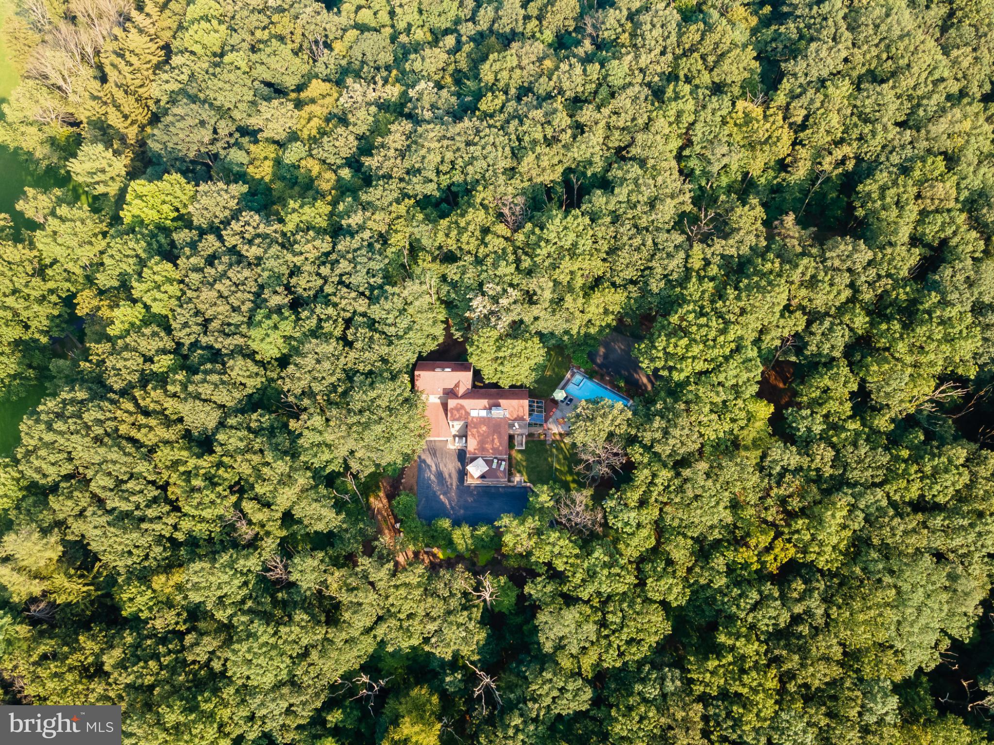 725 Laurel Ridge Road Reinholds, PA 17569 - Photo 92 of 101 Peace and seclusion from the busy world