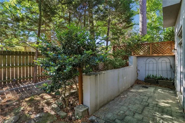 a view of a backyard
