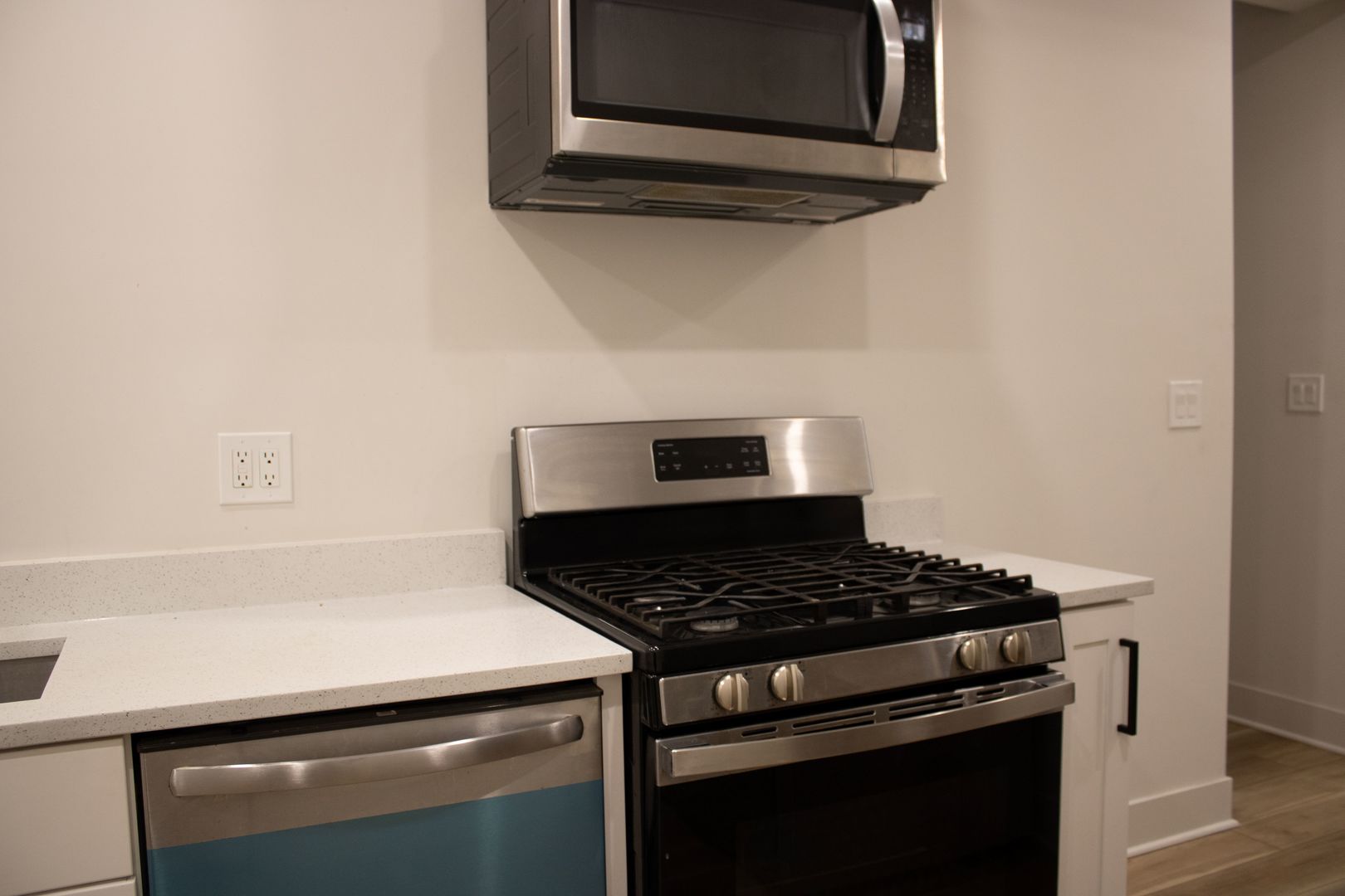 6254 North Whipple Street, Unit G Chicago, IL 60659 - Photo 5 of 12