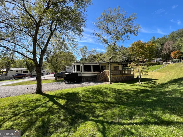 a view of a forest with large trees