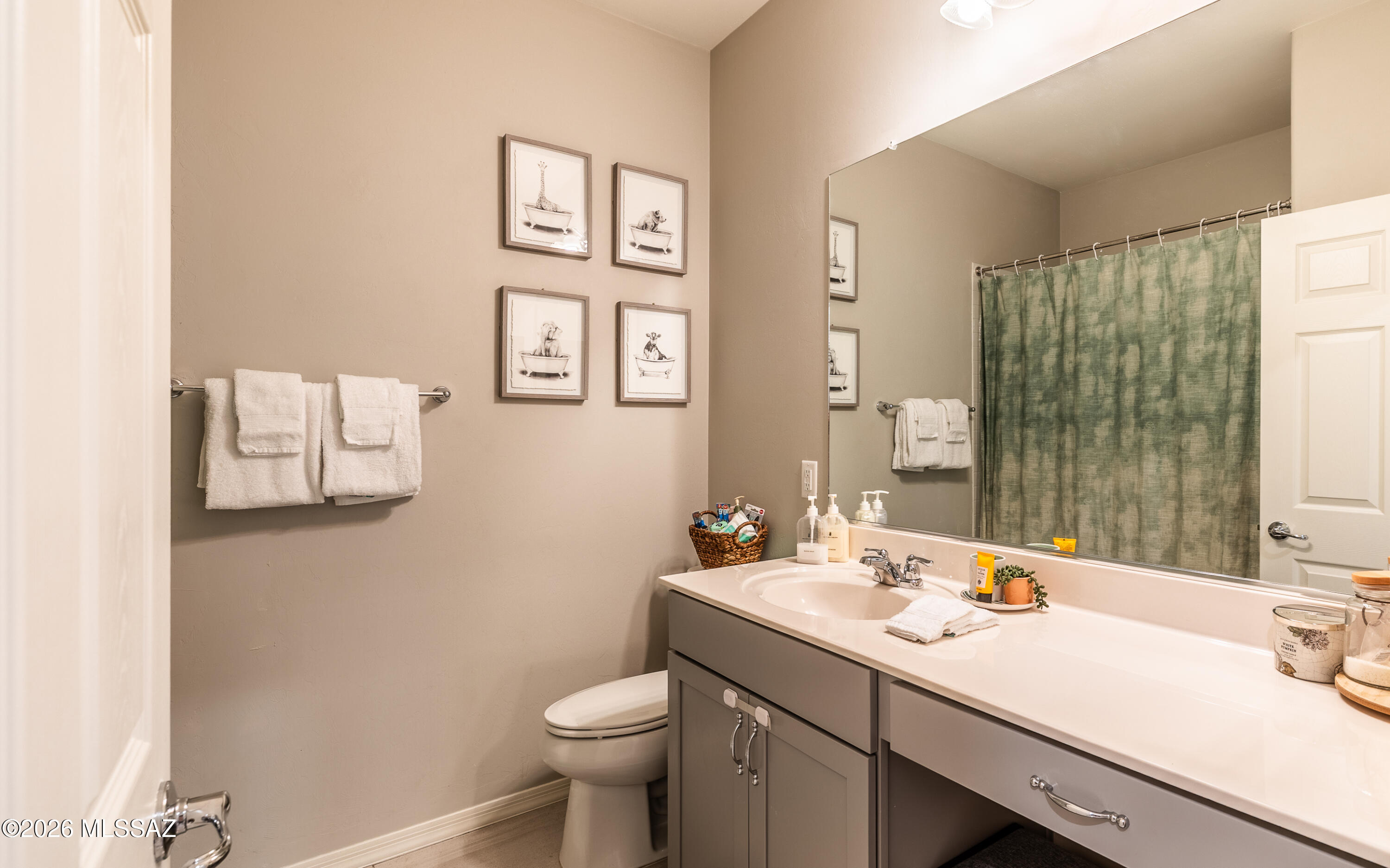 8635 North Rome Court Tucson, AZ 85742 - Photo 17 of 27 Guest Bath