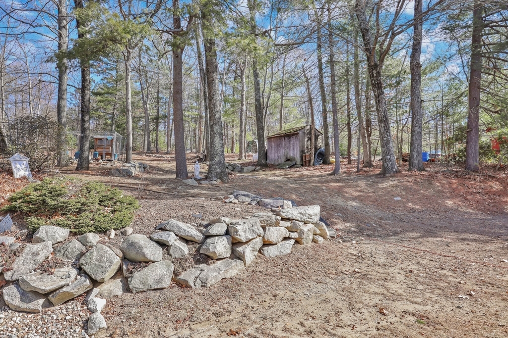 295 Burlingame Road Palmer, MA 01069 - Photo 30 of 31 a backyard of a house with lots of green space