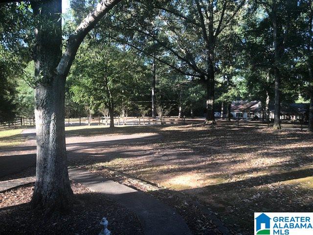 153 Chimney Rock Road Southwest Leeds, AL 35094 - Photo 15 of 16