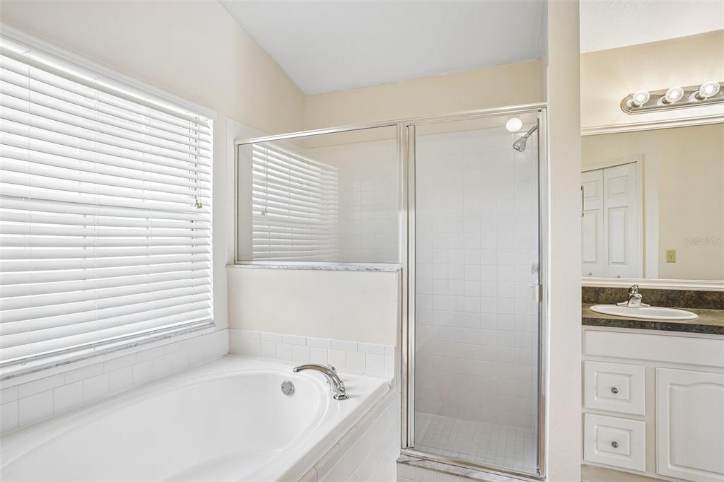 2596 Alclobe Circle Ocoee, FL 34761 - Photo 39 of 70 a bathroom with a bathtub and a sink