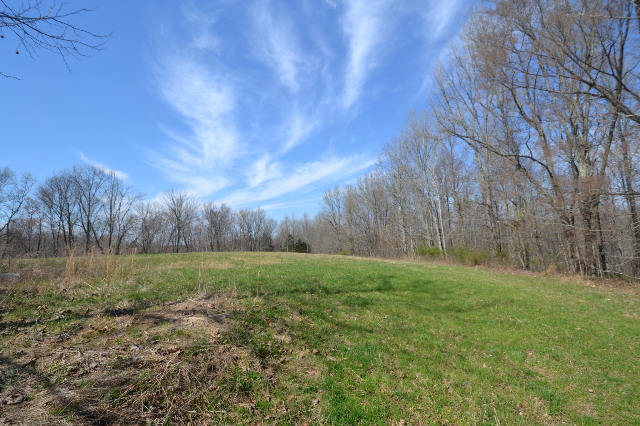 3 Pea Ridge Road Chestnut Mound, TN 38552 - Photo 1 of 19 Gallery Image 1