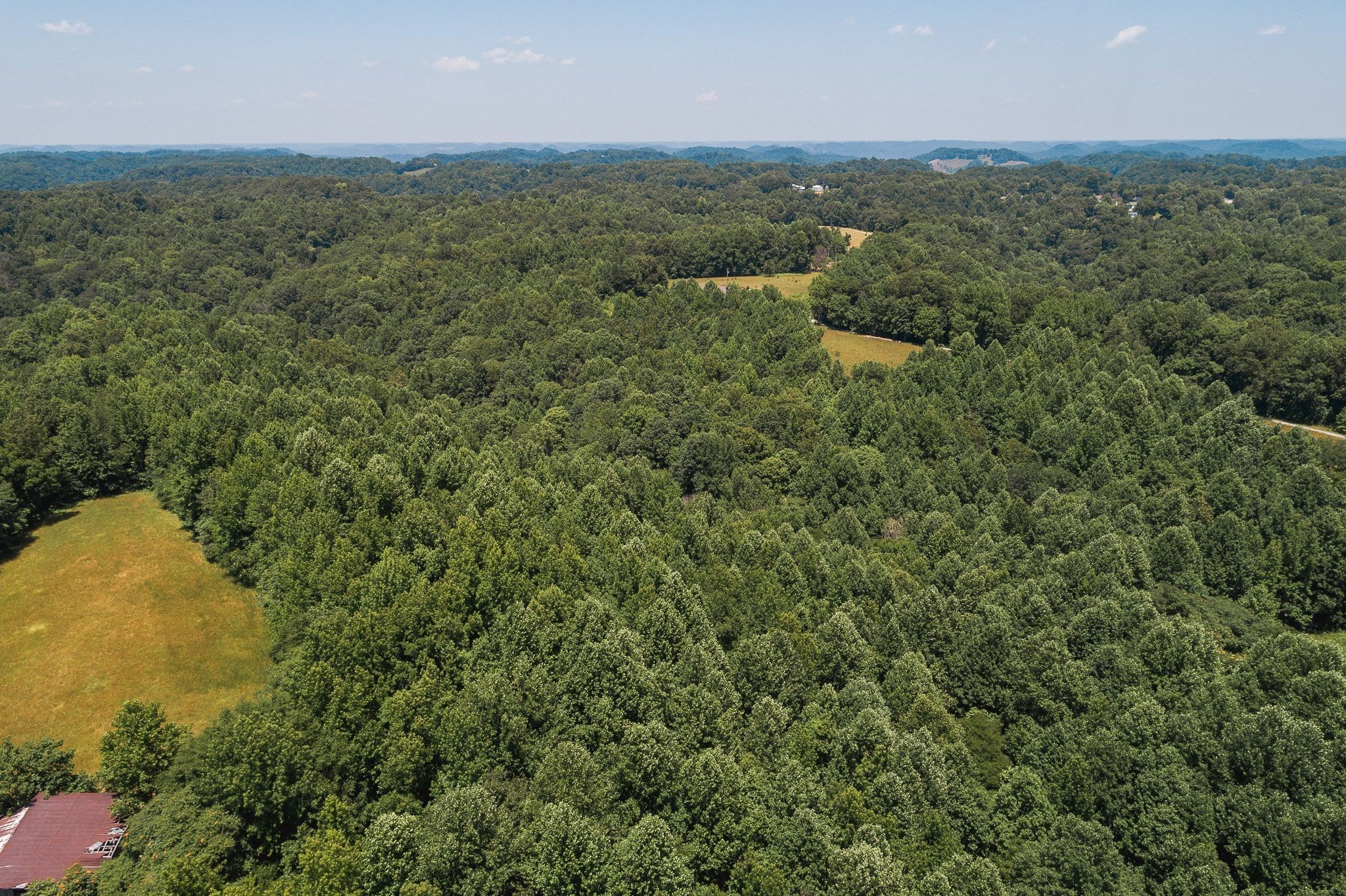3 Pea Ridge Road Chestnut Mound, TN 38552 - Photo 14 of 19 Gallery Image 14