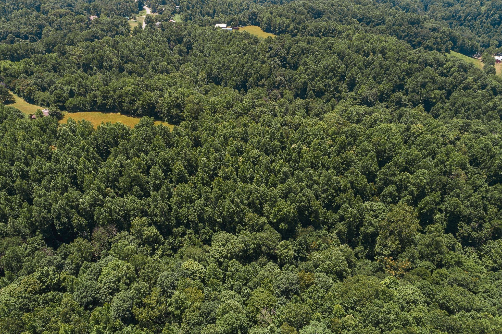 3 Pea Ridge Road Chestnut Mound, TN 38552 - Photo 19 of 19 Gallery Image 19