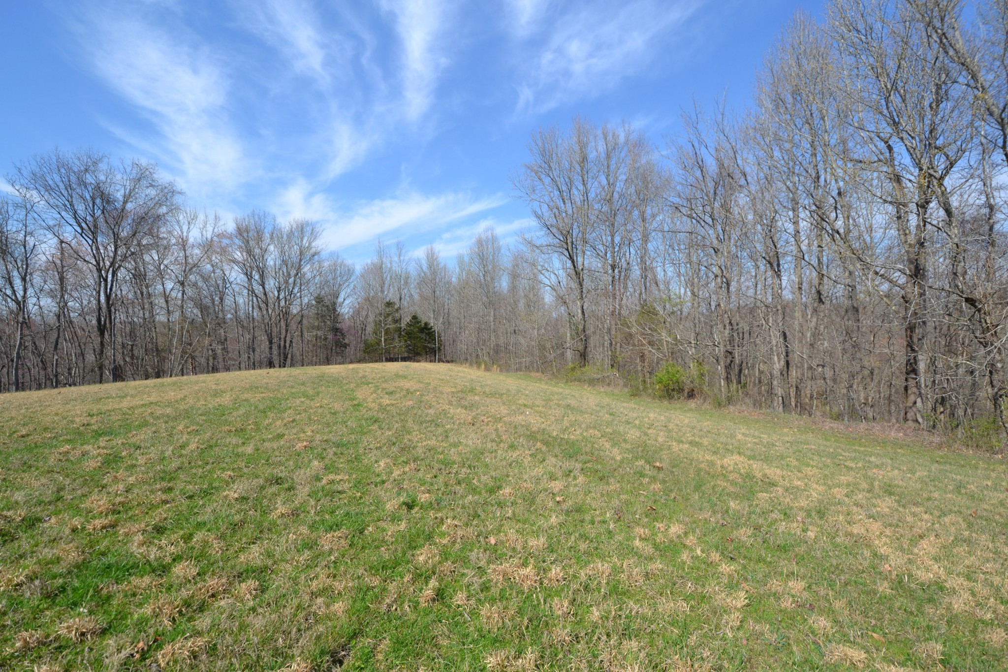 3 Pea Ridge Road Chestnut Mound, TN 38552 - Photo 2 of 19 Gallery Image 2