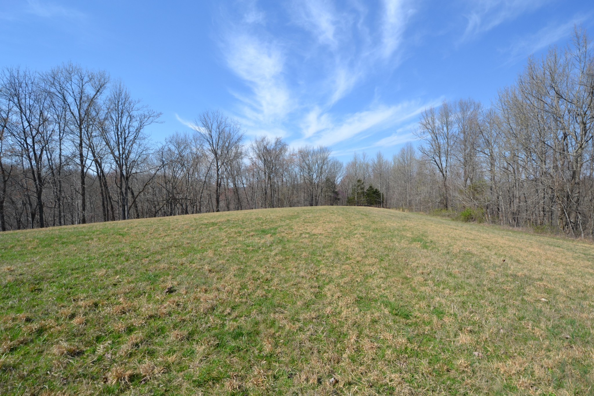 3 Pea Ridge Road Chestnut Mound, TN 38552 - Photo 3 of 19 Gallery Image 3