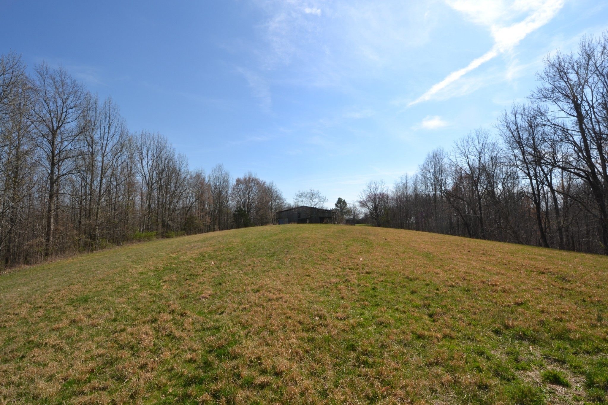 3 Pea Ridge Road Chestnut Mound, TN 38552 - Photo 4 of 19 Gallery Image 4