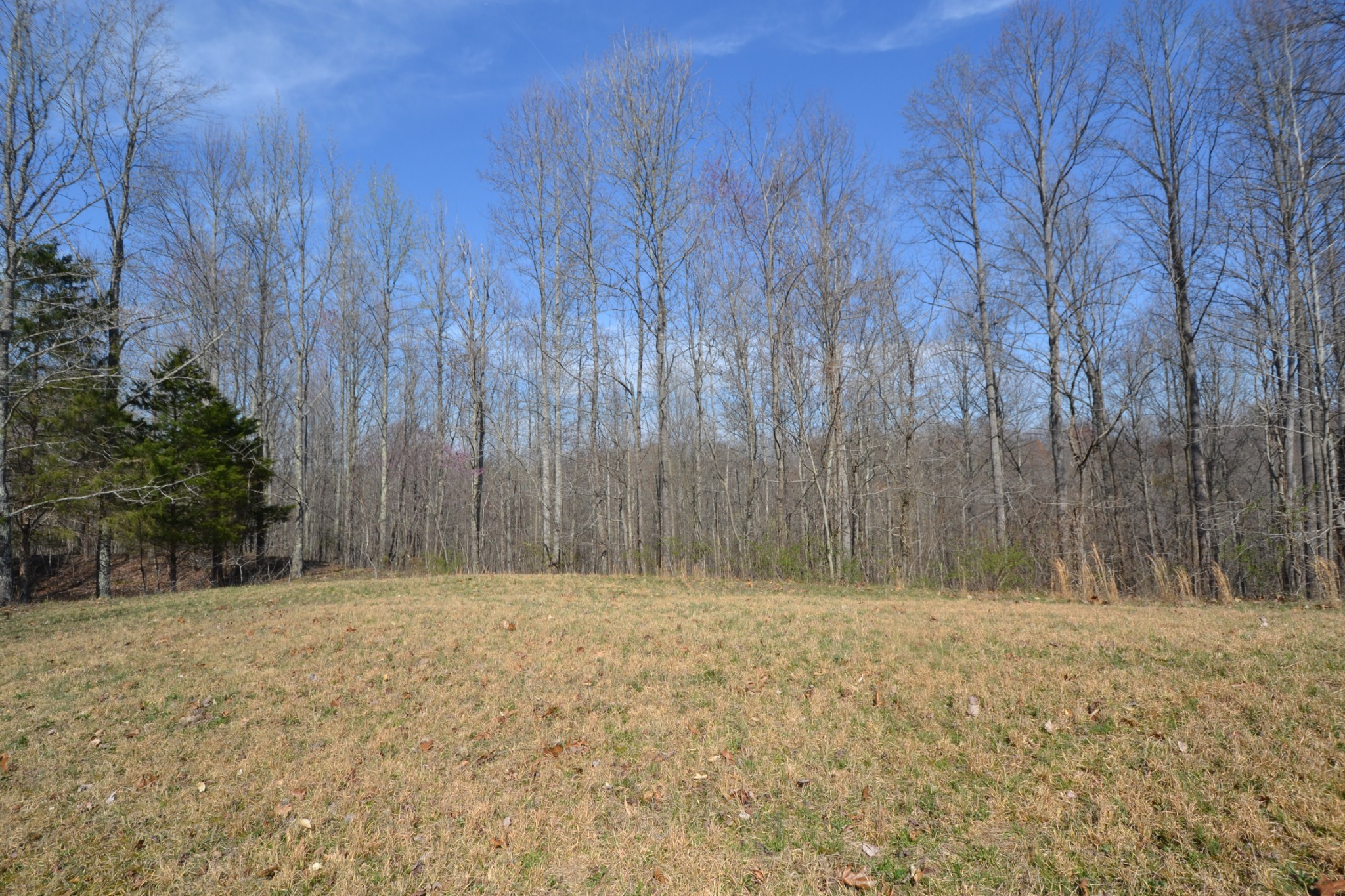 3 Pea Ridge Road Chestnut Mound, TN 38552 - Photo 5 of 19 Gallery Image 5