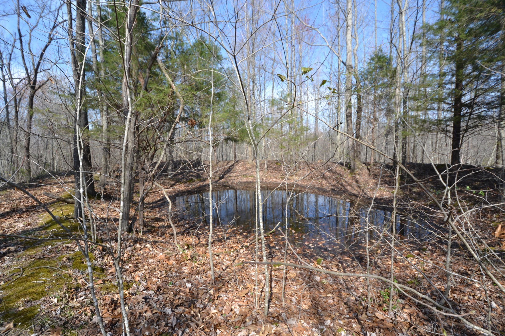 3 Pea Ridge Road Chestnut Mound, TN 38552 - Photo 7 of 19 Gallery Image 7
