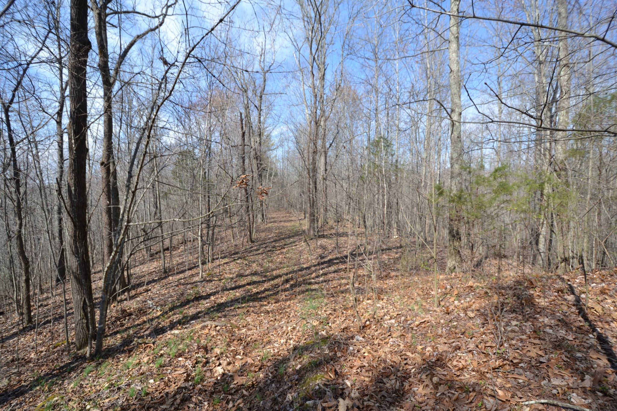 3 Pea Ridge Road Chestnut Mound, TN 38552 - Photo 8 of 19 Gallery Image 8