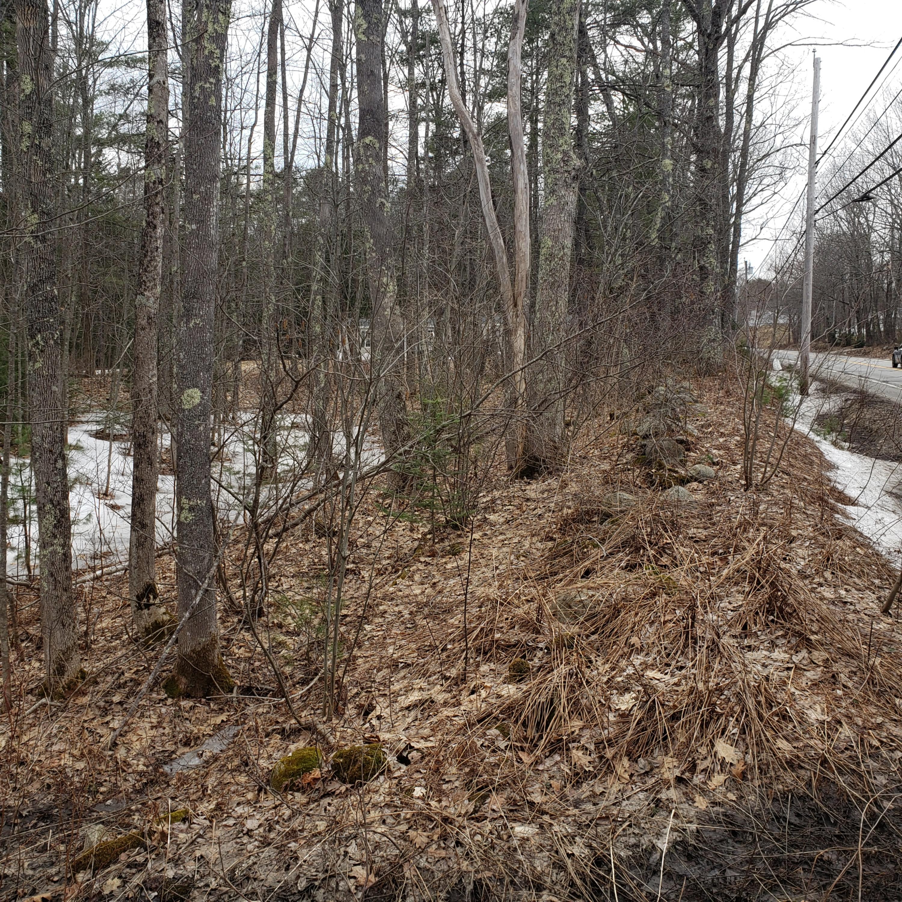 Lot 16 Old Portland Road Brunswick, ME 04011 - Photo 1 of 8 photo 6