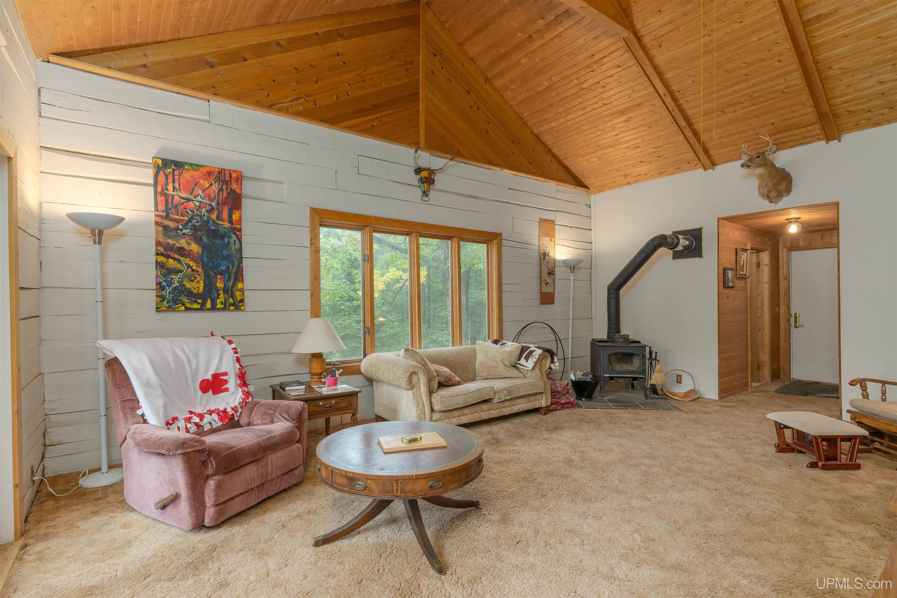 6823 County 601 Road Republic, MI 49879 - Photo 7 of 33