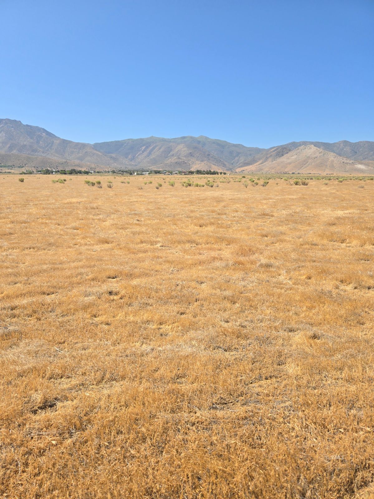 426-390-09 Lakeview Road Weldon, CA 93283 - Photo 3 of 7