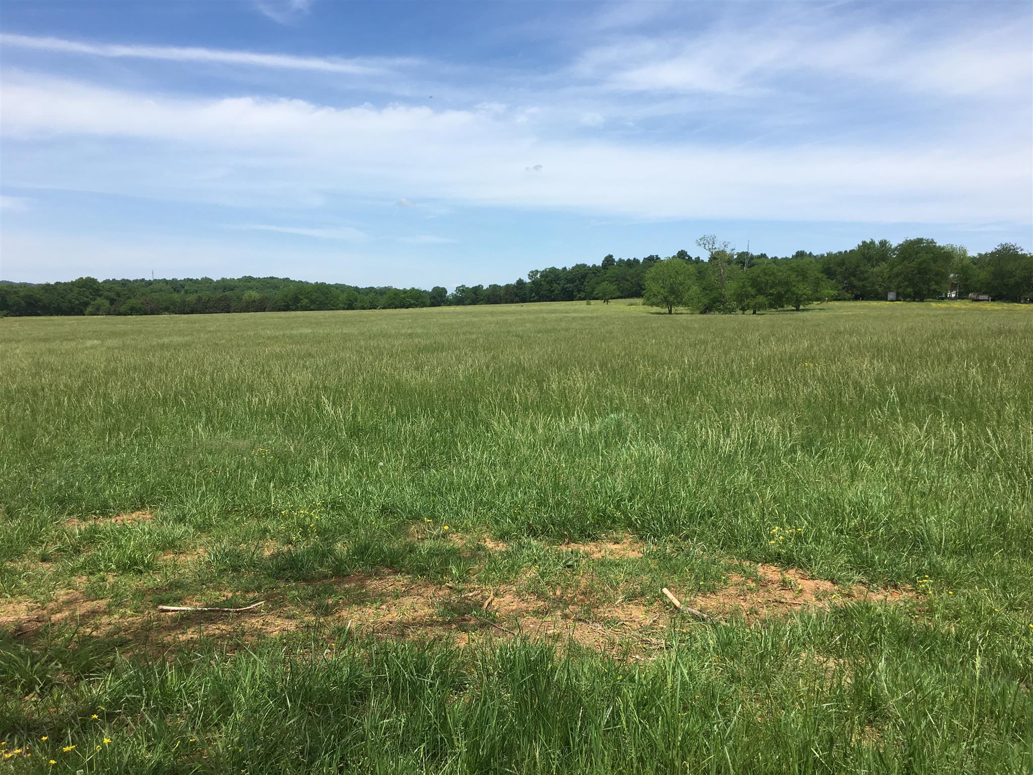 7 Greenwood Road College Grove, TN 37046 - Photo 1 of 1 Gallery Image 1