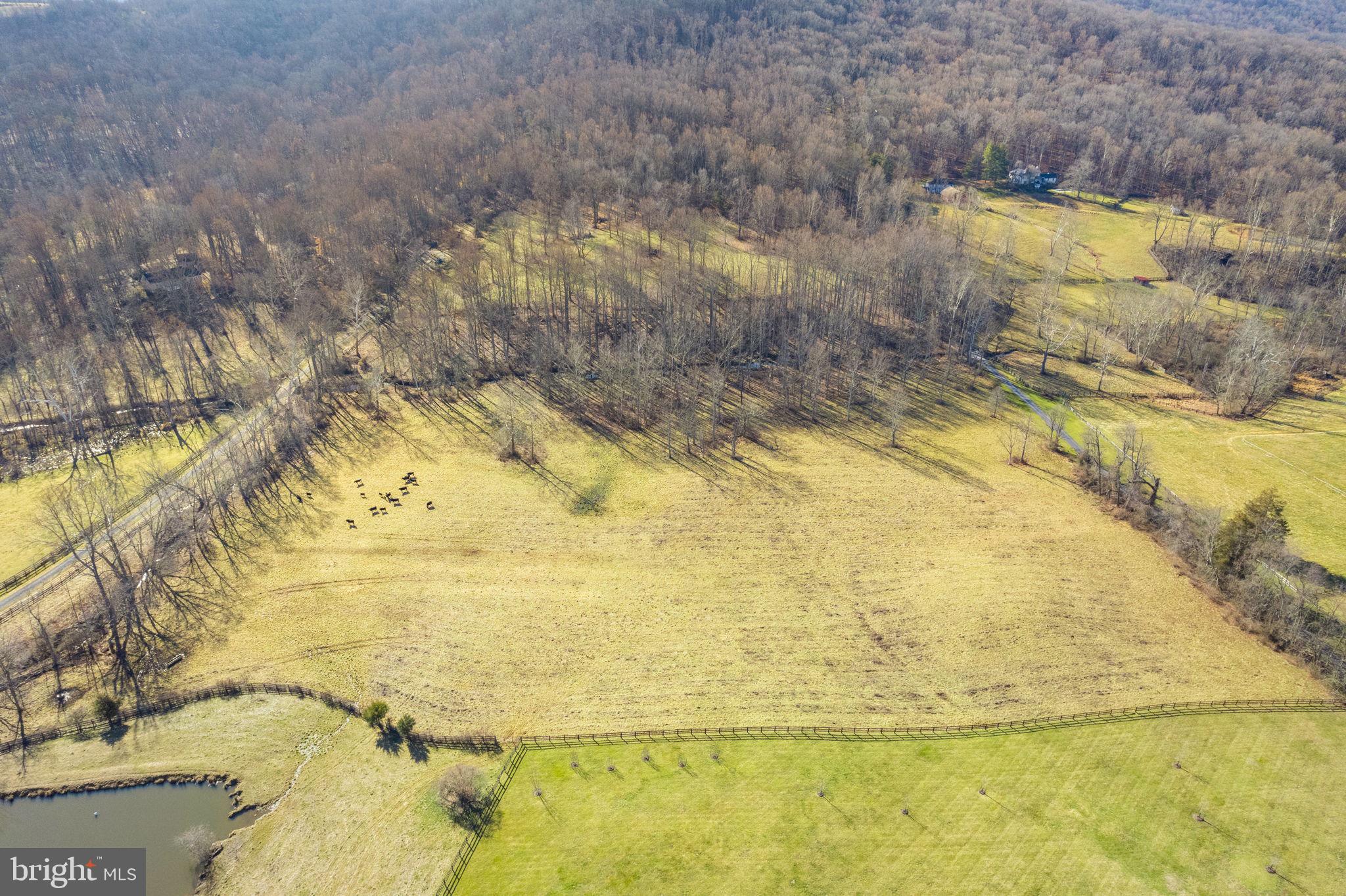 7553 Enon Church Road The Plains, VA 20198 - Photo 40 of 46 Gallery Image 40