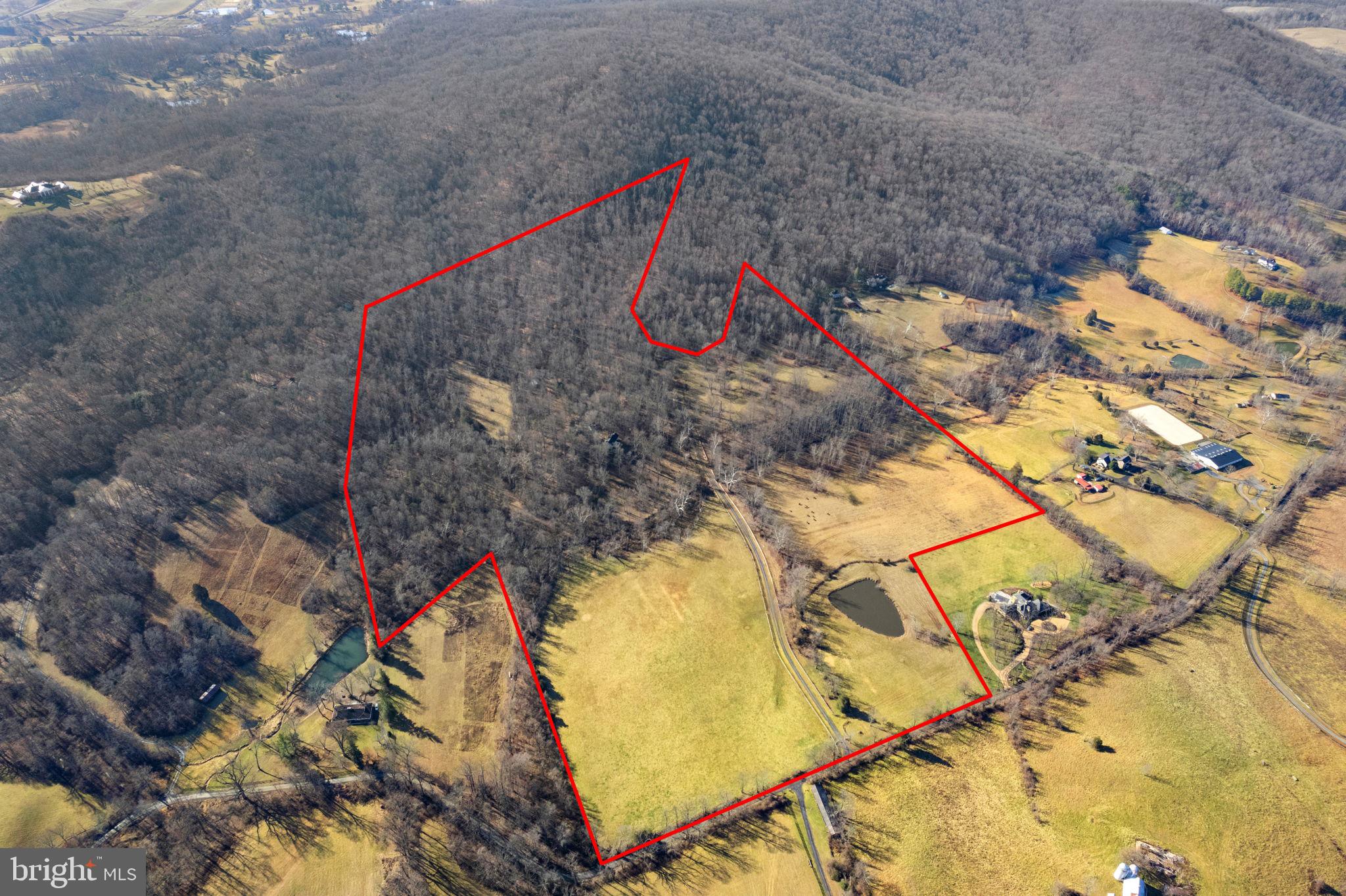 7553 Enon Church Road The Plains, VA 20198 - Photo 4 of 46 Gallery Image 4
