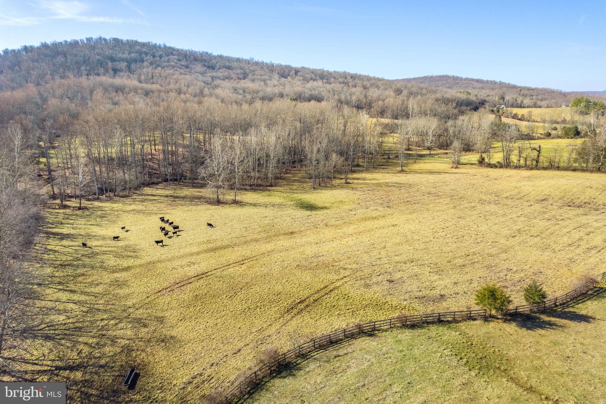 7553 Enon Church Road The Plains, VA 20198 - Photo 43 of 46 Gallery Image 43