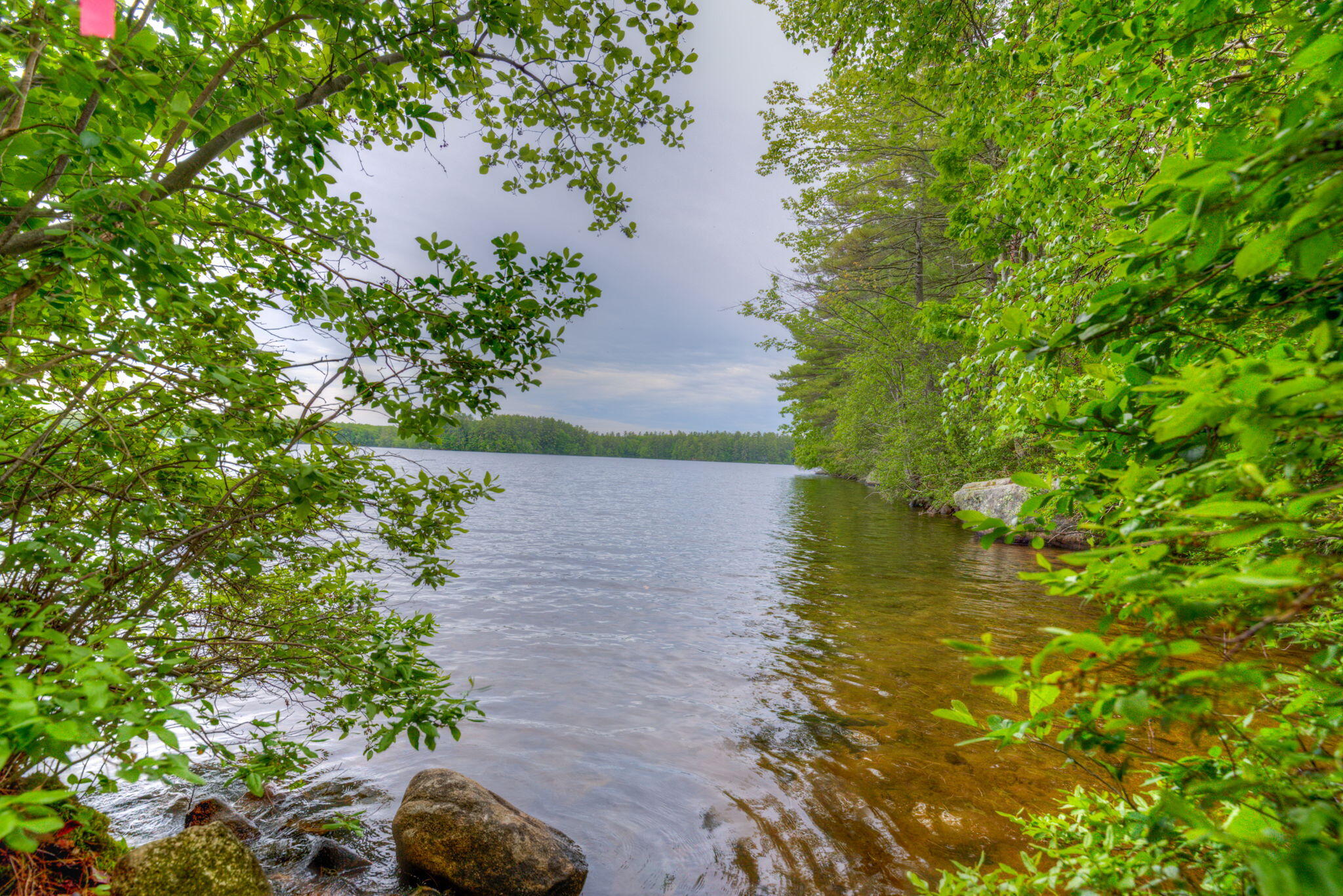 10 Homestead Road Casco, ME 04015 - Photo 58 of 64 24-web-or-mls-Pic#-3