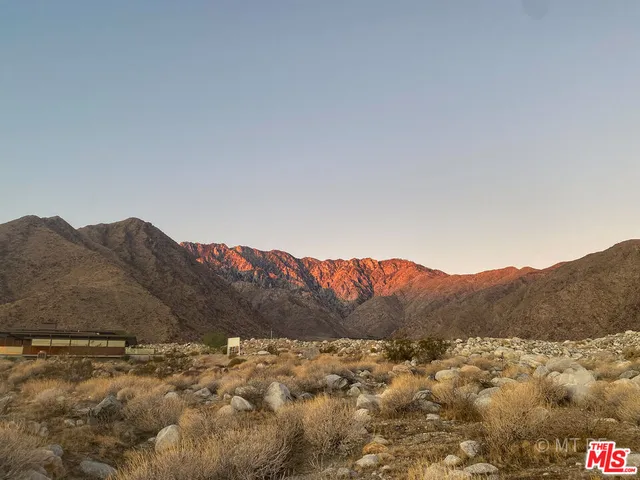 a view of a dry yard