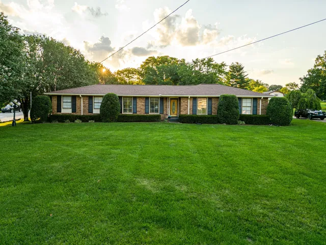 a view of a house with a big yard potted plants and large tree
