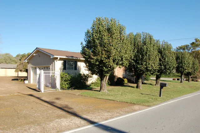 front view of a house with a tree
