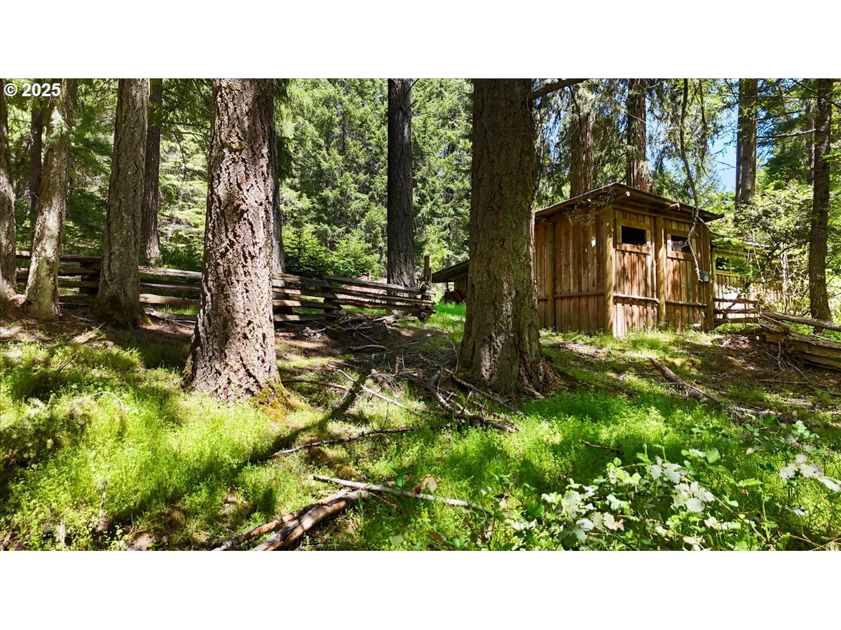 2128 Starveout Creek Road Azalea, OR 97410 - Photo 22 of 32