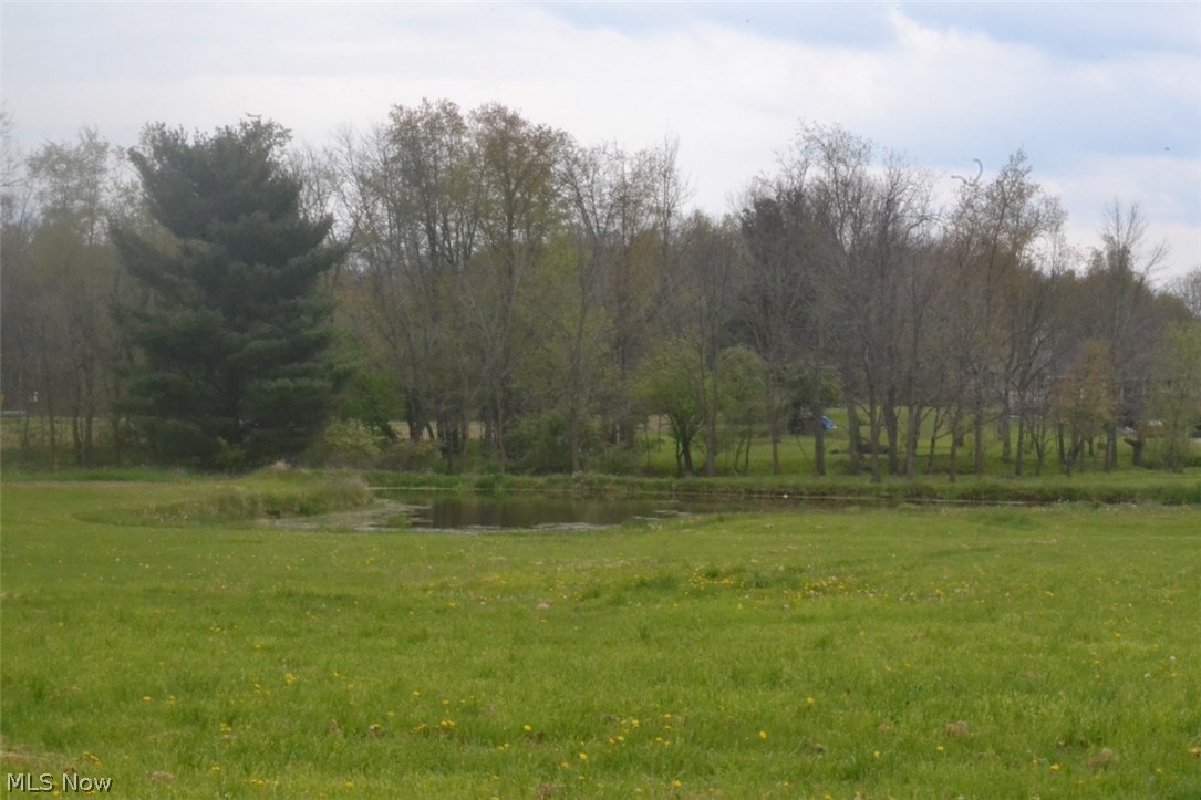 10033 Akron Road Rittman, OH 44270 - Photo 3 of 19 Gallery Image 3