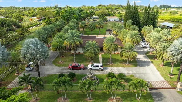 a palm tree sitting in front of a house with a big yard
