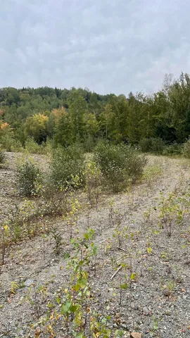 $875,000 | 0 Us Route 3, North Stratford, NH 03590