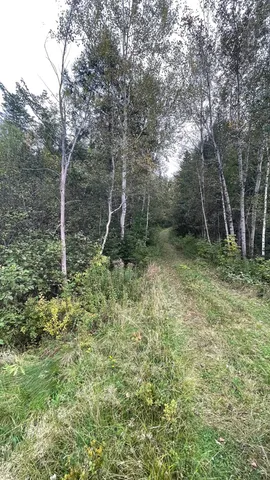 $875,000 | 0 Us Route 3, North Stratford, NH 03590