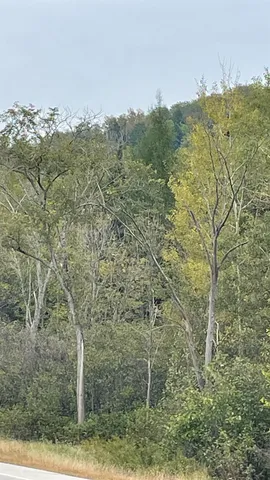 $875,000 | 0 Us Route 3, North Stratford, NH 03590