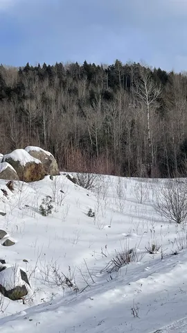 $875,000 | 0 Us Route 3, North Stratford, NH 03590