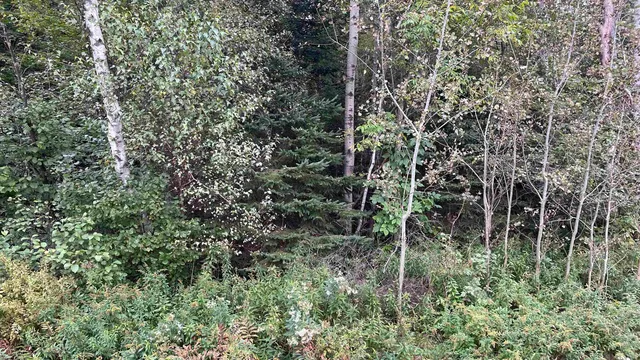 $875,000 | 0 Us Route 3, North Stratford, NH 03590