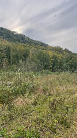 $875,000 | 0 Us Route 3, North Stratford, NH 03590